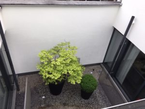 reinigen crepi gevel stekene